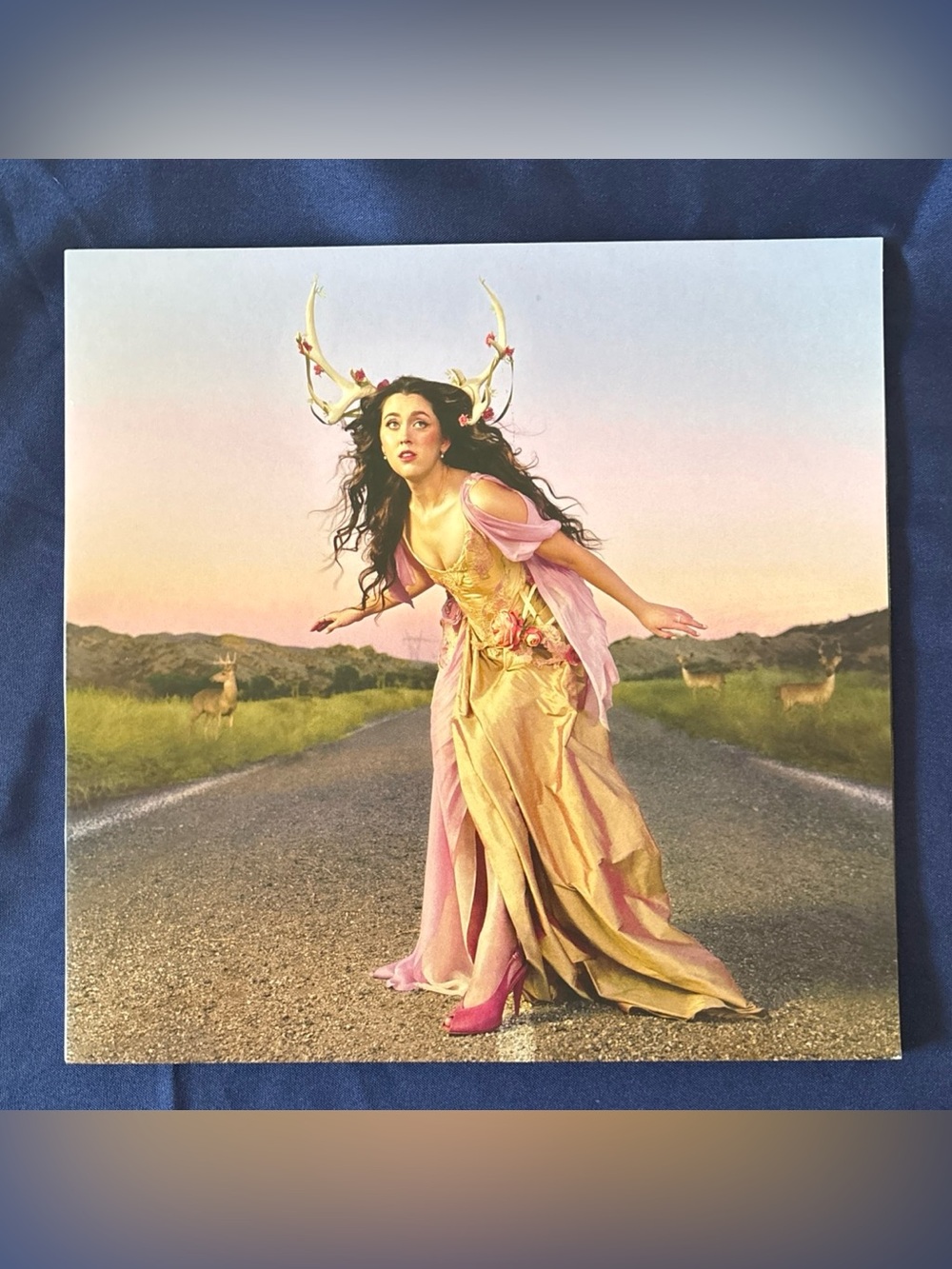 Em Beihold Tales of a Failed Shapeshifter Clear Vinyl LP Record 2023